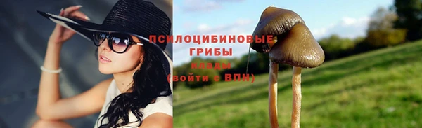 стафф Балашиха