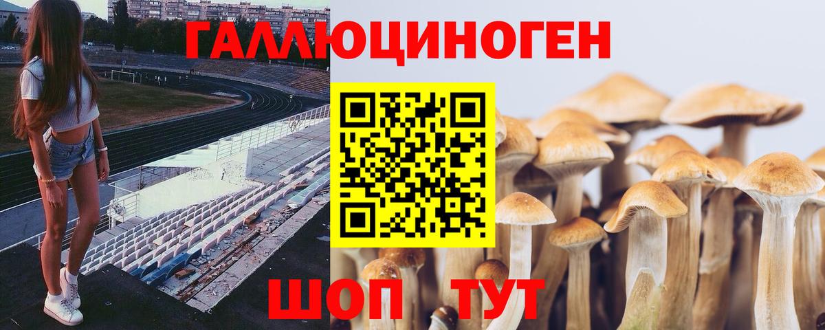 Бирск  Галлюциногенные грибы Psilocybine cubensis  Галлюциногенные грибы Magic Shrooms  Вход с VPN 
